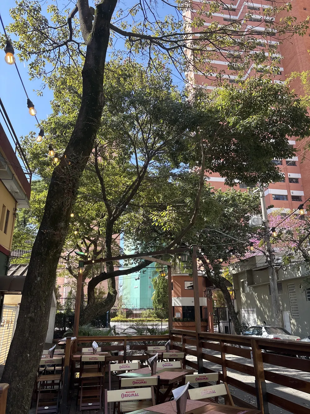 Árvores sobre o deck de mesas do Oink